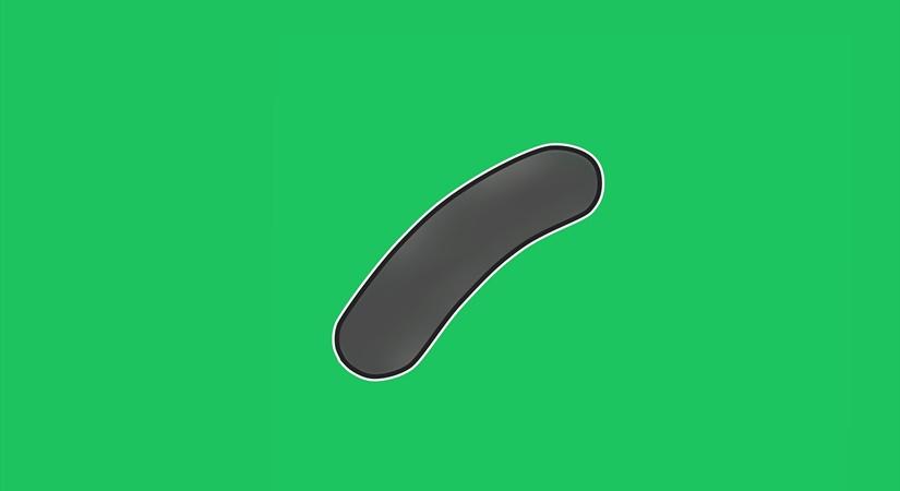 Tuberculosis bacteria 