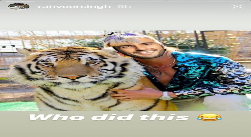 Ranveer Singh turns Joe Exotic in Tiger King meme.