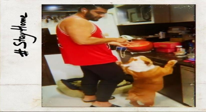 Mumbai, April 13 (IANS) Bollywood actor and an ardent animal lover Arjun Kapoor has come forward to raise his voice against pet owners who are abandoning their four-legged friends in the wake of the COVID-19 outbreak.