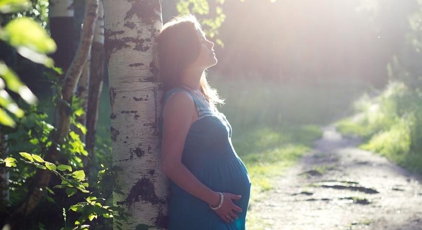 Pregnant woman.
