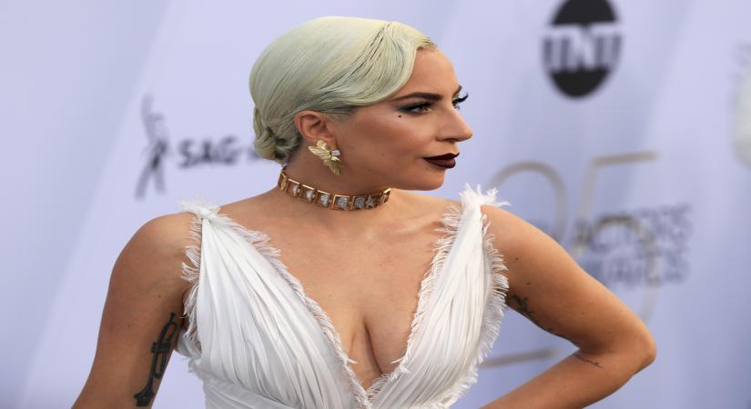 Los Angeles, April 20 (IANS) Pop star Lady GaGa's COVID-19 relief concert "One World: Together at Home" has raised almost $128 million in the US.	 (Xinhua/Li Ying/IANS)