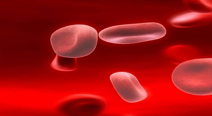 Can Iron worsen Malaria infection? (Photo: drmaxwellasante/Instagram)