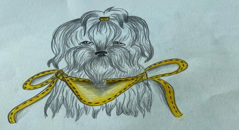 Farah Khan's daughter sells her sketches for stray animals.