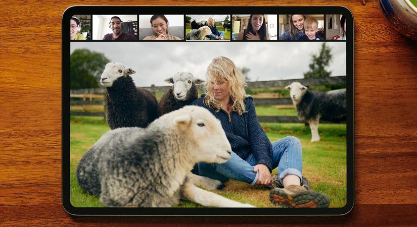 Guided Meditation with Sleepy Sheep