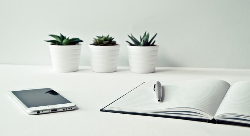 Lockdown: Indians turn language learners despite distance