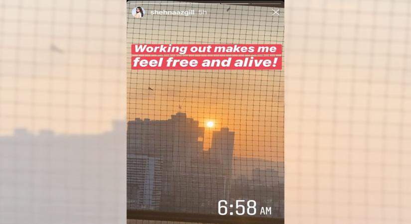 This is how Shehnaaz Gill feels after working out.