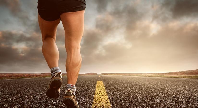 Tips to get shredded body fast