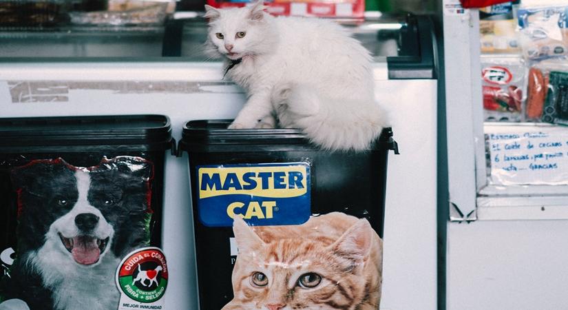 Banks, essentials, pet services dearer in lockdown