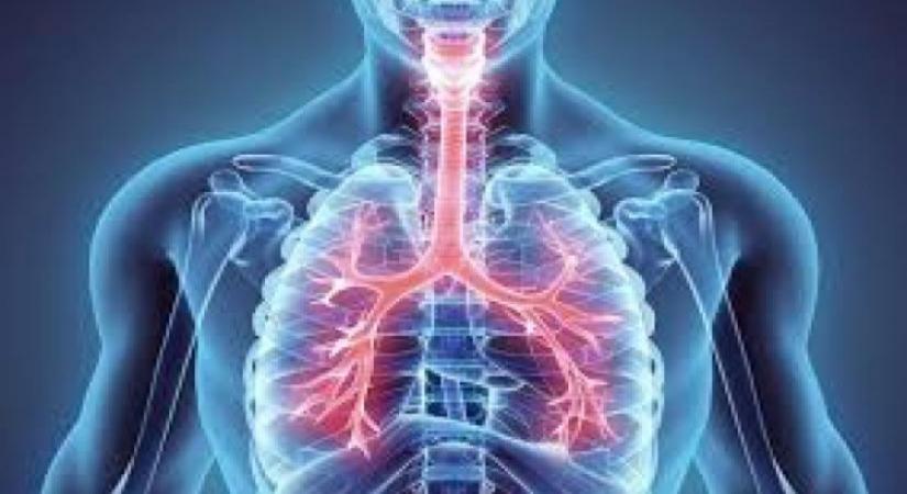 How digital therapeutics could aid asthma management