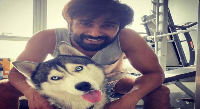'Mine', says Kriti Kharbanda on seeing Pulkit Samrat's new pic.