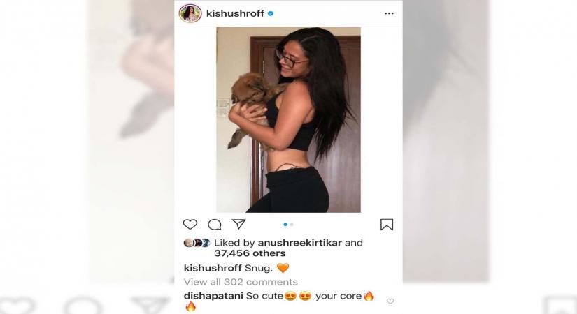 Disha Patani can't help gushing about Krishna Shroff's 'core'.