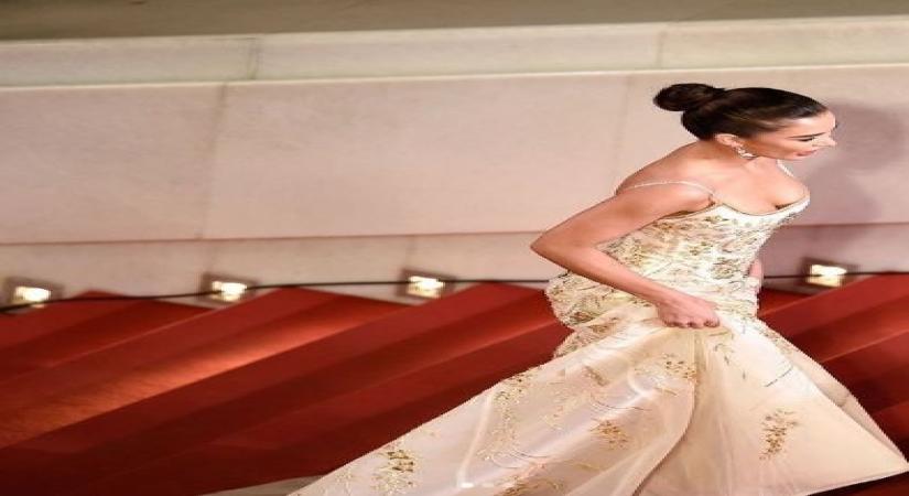 Amy Jackson 'honours' Cannes film festival in new post.