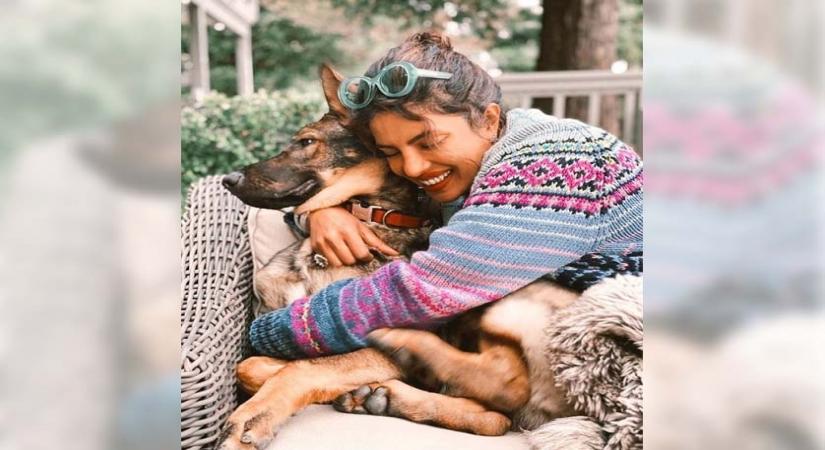 Priyanka's pet dog loves her cuddles.