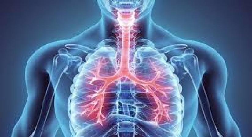 New York, May 12 (IANS) A good night's sleep is crucial to good health because researchers have found that too little sleep, and occasionally too much sleep, can negatively impact adults with asthma.