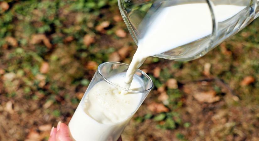 Eating at least two daily servings of dairy-rich diet is linked to lower risks of diabetes and high blood pressure, as well as the cluster of factors that heighten cardiovascular disease risk (metabolic syndrome), say researchers.