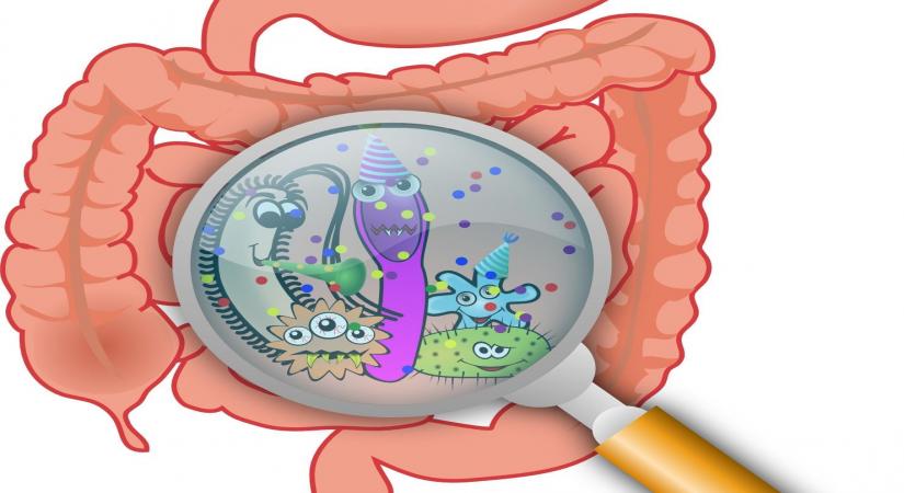 Next time when you hop on desserts, candy, beverages or gum, read on. Researchers have found that a common food additive significantly alters gut microbiota in mice, causing inflammation in the colon and changes in protein expression in the liver.