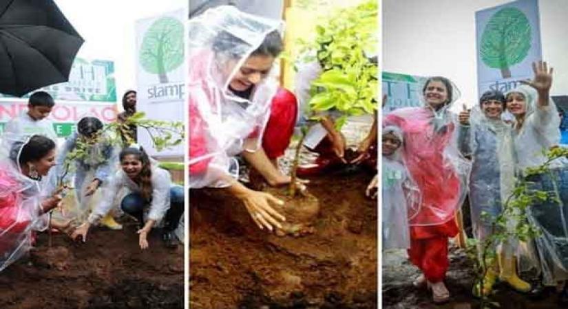 World Environment Day: B-Towners talk of our responsibility towards nature.