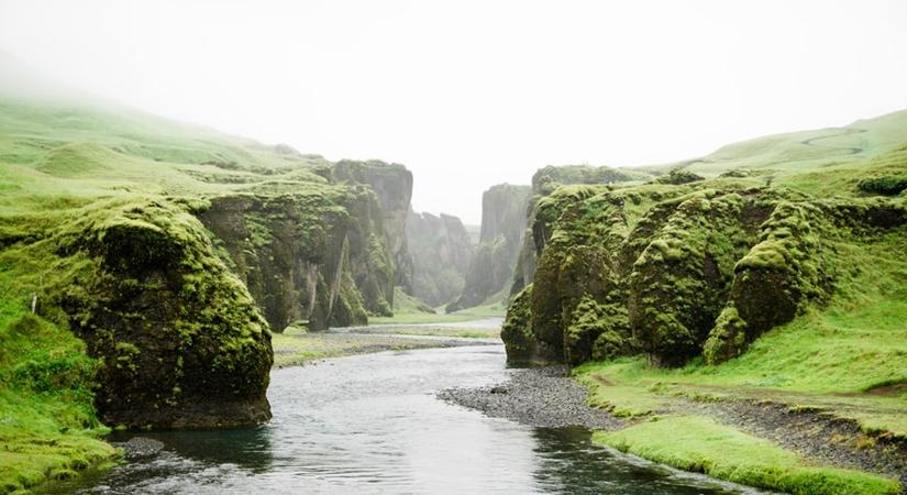 India ranks 168th on Environmental Performance Index