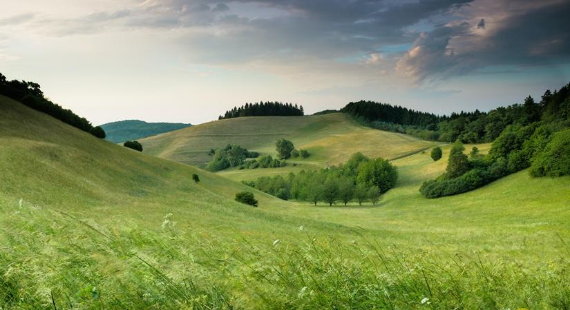 Environmentalists call for stronger nature conservation post-COVID