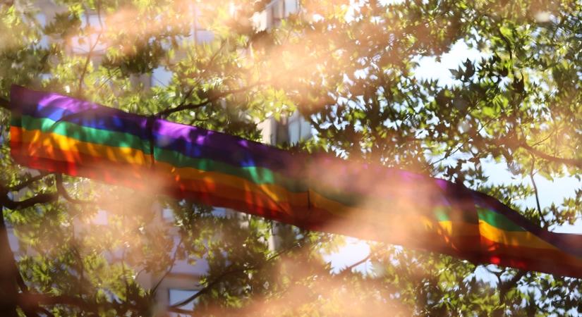 Indian millennials bat for legalising gay marriage 