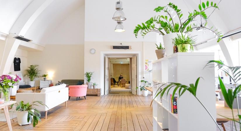 Adopting sustaining culture