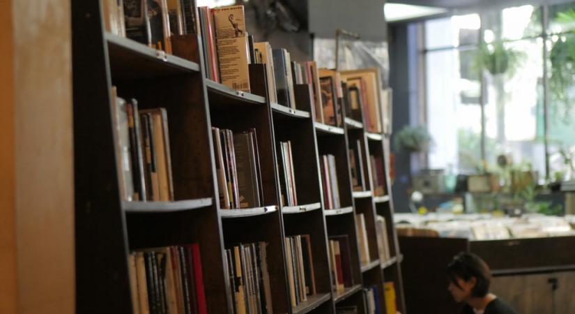 Representational Image (Credit: Unsplash)