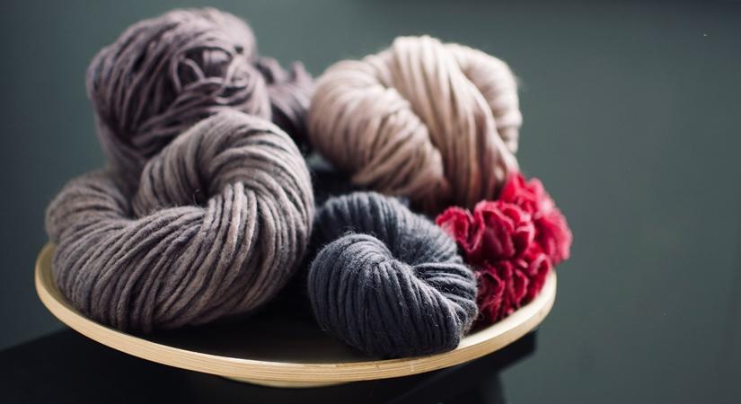 Uttarakhand to produce Australian merino sheep wool