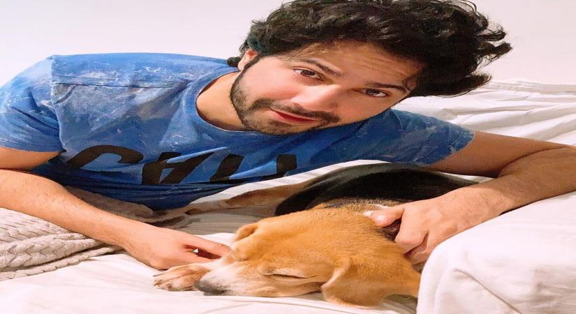 Varun Dhawan.