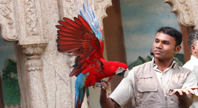 Source: EsselWorld Bird Park