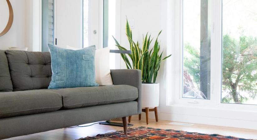 Representational Image (Credit: Unsplash)