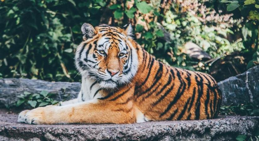 Representational Image (Credit: Unsplash)