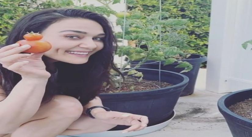 Preity Zinta