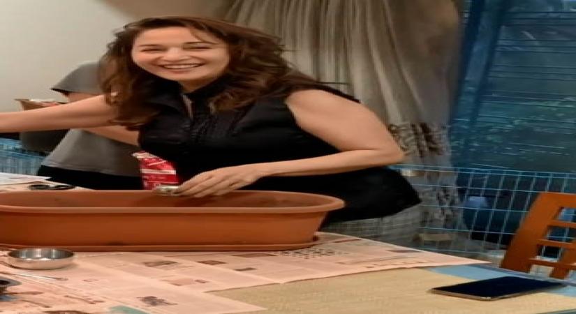 Madhuri's family pitches in to help out with her kitchen garden.