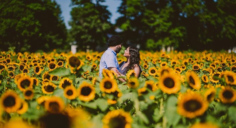 Photo by Amandeep Nagpal