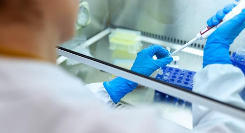 Representational Image (Credit: Unsplash)