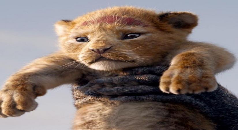 Lion king.