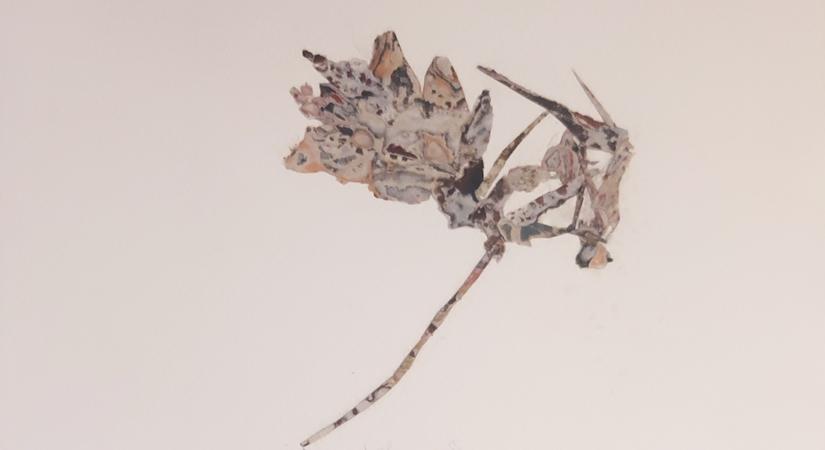 Eidetic Image III, 9 x 12 in, Found paper, watercolour, acrylic on paper    