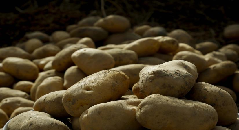 Are potatoes safe for people with diabetes to eat?
