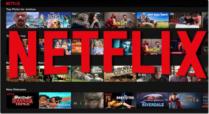 Netflix. (IANS Infographics)