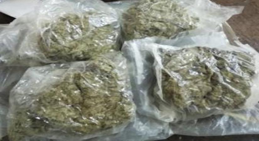 NCB raids producer Firoz Nadiadwala's home, nabs wife with drugs.