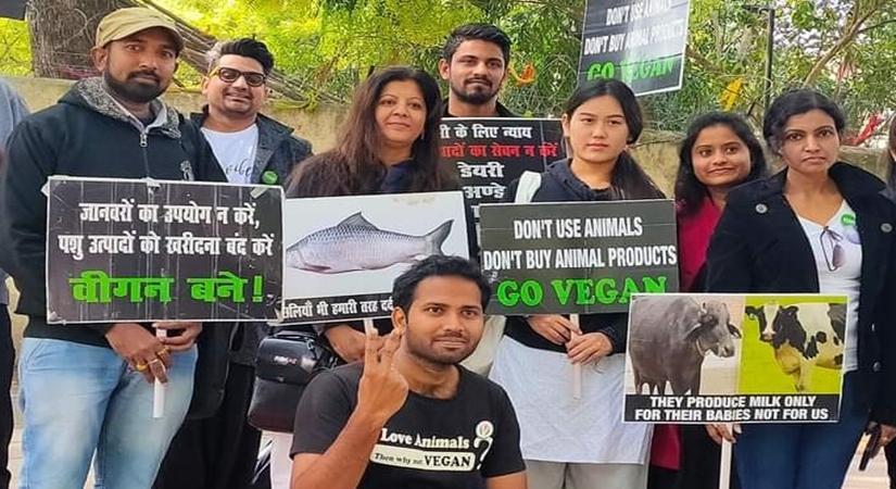 International Animal Rights Day: Laws against animal cruelty need to be stricter