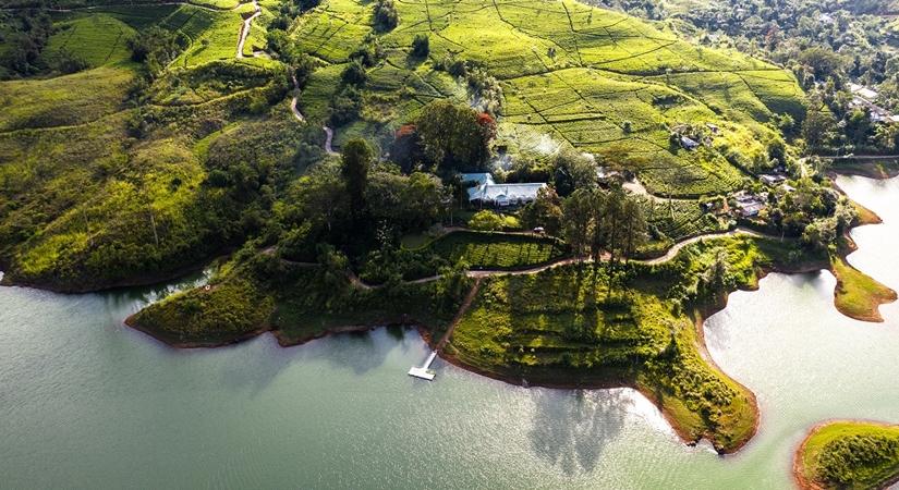 Ceylon Tea Trails - Castlereagh Bungalow