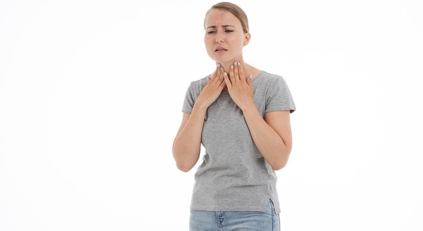 Thyroid gland. (Photo: Pixabay)