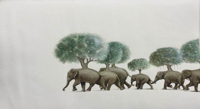 Burden Carriers (Source: TAP INDIA)