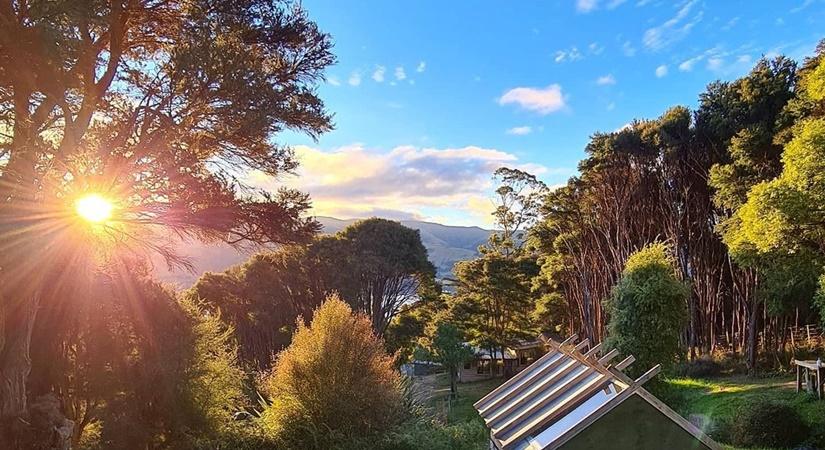 (Photo: purenewzealand/Instagram)