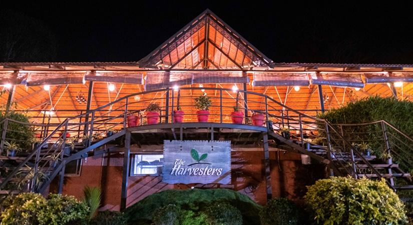 The Harvesters (Source: Daniel D'Souza/Airbnb)