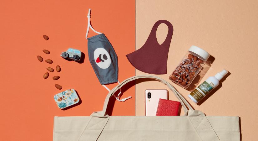 A representative image of a bag containing essentials 