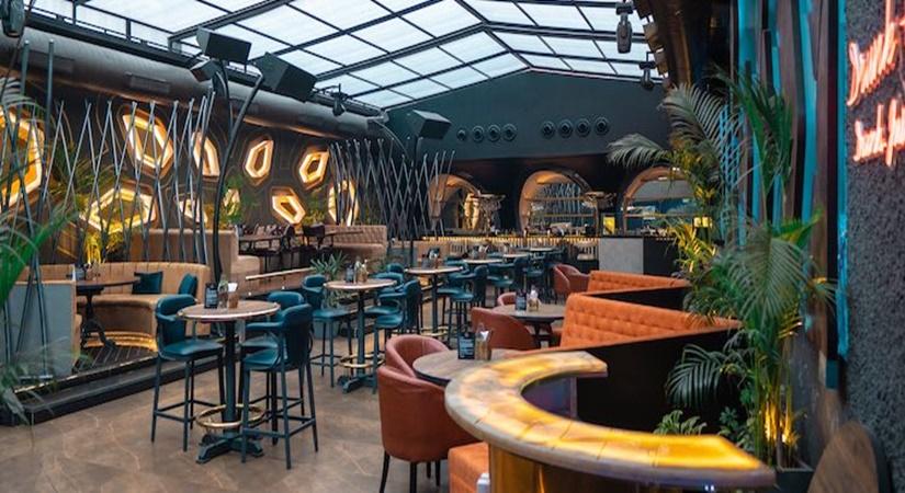 drinkery, 51, chandigarh