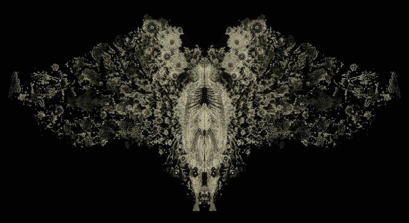 Strange Beings, Aiman Verma, 2020