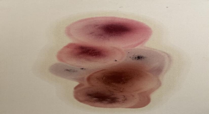 Source: Rahul Inamdar/Threshold Art Gallery